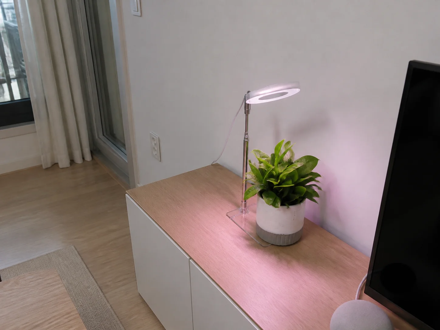 앙플랜트 LED 식물등: hero와 다른 높이와 각도에서 본 설치 형태